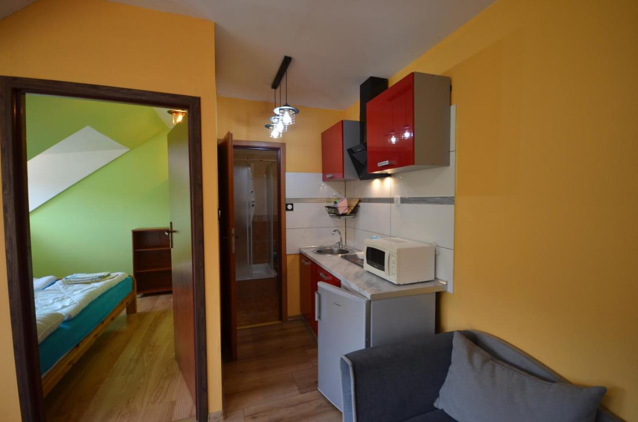 Pod Modrzewiem Mieszkania Wakacyjne Duszniki Zdroj Exterior photo